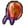 Scent Gland.png
