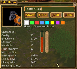 stats window