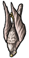Thumbnail for version as of 07:34, 25 December 2025