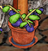 Garden Pot.png