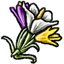 Crocus.png