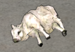 Sheep-dead.png