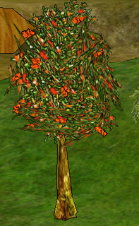 Rowan Tree.png