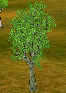 Linden Tree.png