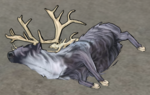 Reindeer-dead.png