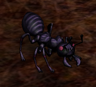 Black Ant - A common Ant in the dungeon, roughly similar to a fox. - 80 Hp