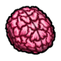 Thumbnail for version as of 14:45, 6 February 2026
