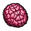 Brain.png