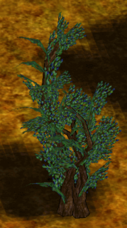 Arrowwood Bush.png