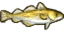 Overlay Icon-Cod.png