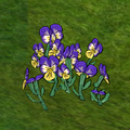 Heartsease in-game.