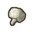 Button Mushroom.png