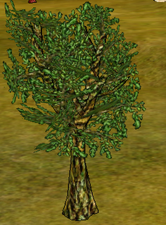 Sallow Tree.png