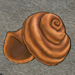 Chasm Conch Butchered.png