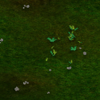 Greensward Terrain.png