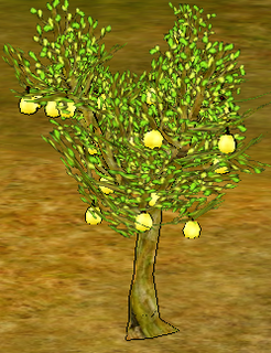 Quince Tree.png