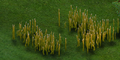 Standing Grass ingame.