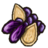 Dried Fruit.png