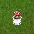 Troll Mushrooms in Garden Pot.