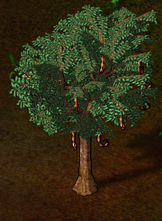 Carob Tree.png