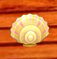 A rainbow shell used as a wall decoration.