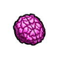Thumbnail for version as of 15:39, 6 February 2026