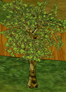 Beech Tree.png