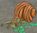 Chasm Conch Dead.png