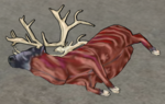 Reindeer-skinned.png