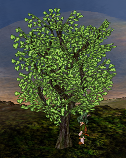 Black Poplar Tree.png