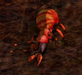 Thumbnail for version as of 15:17, 8 May 2026
