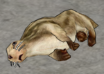 Grey Seal-dead.png