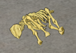 Sheep-skeleton.png