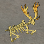 Red Deer-skeleton.png