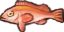 Overlay Icon-Rose Fish.png