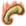 Wolf's Claw.png