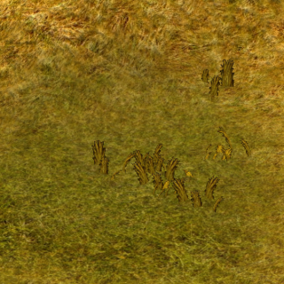 DryflatTerrain.png