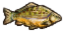 Overlay Icon-Carp.png