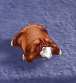 Thumbnail for version as of 11:54, 9 March 2026