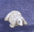 Thumbnail for version as of 11:54, 9 March 2026