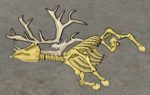 Reindeer-skeleton.png