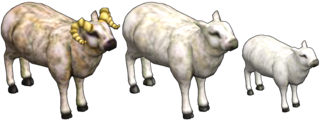 Sheep.png