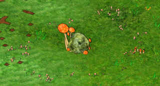 Fairy Stone.png