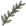 Olive Branch.png