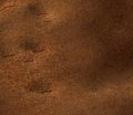 Thumbnail for version as of 07:26, 15 November 2017