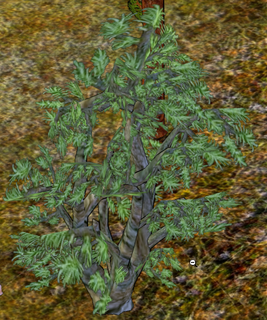 Tree Heath Tree.png