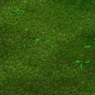 Lush Field Terrain.png