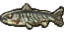 Overlay Icon-Salmon.png