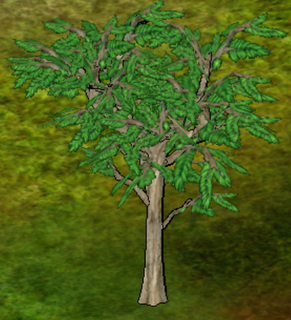 Stone Pine Tree.png