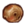 Oak Apple.png